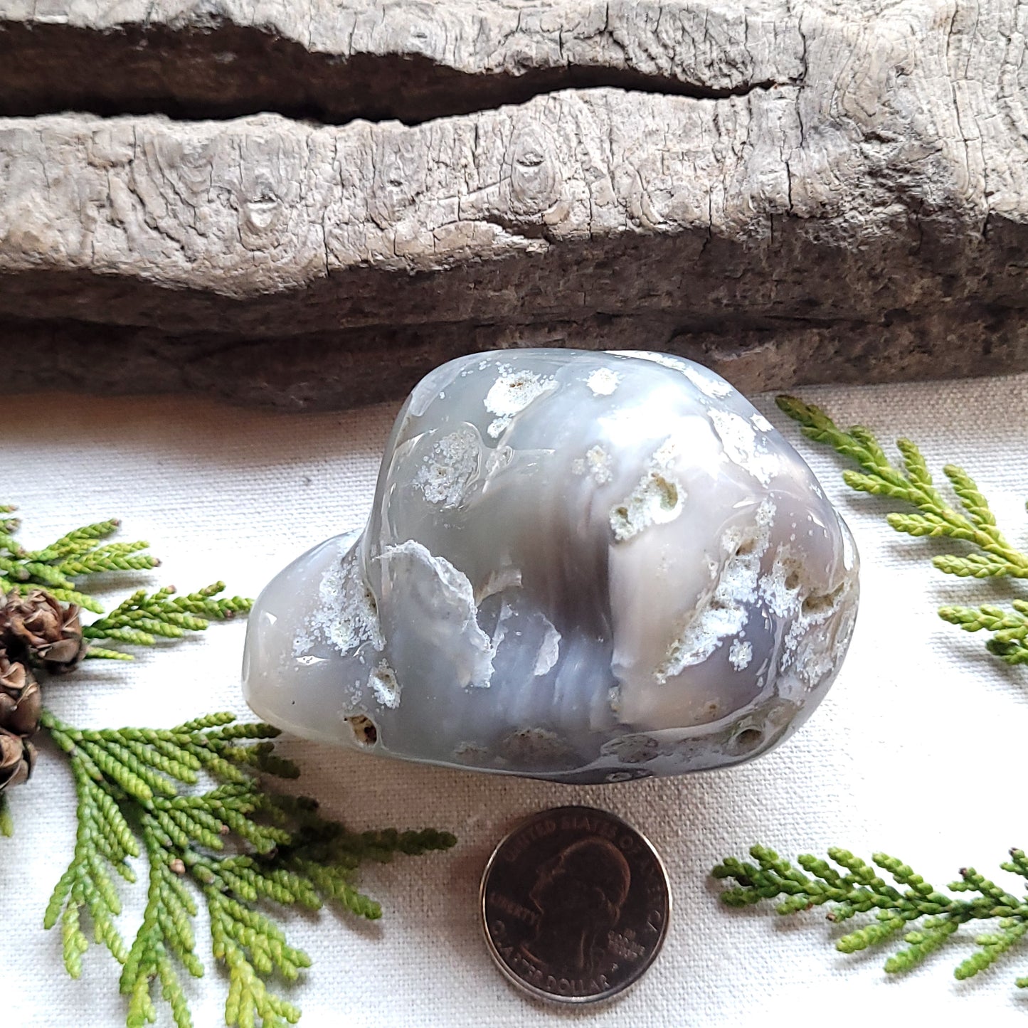 Tumbled Waterline Agate, Fraser Lake, BC, Canada