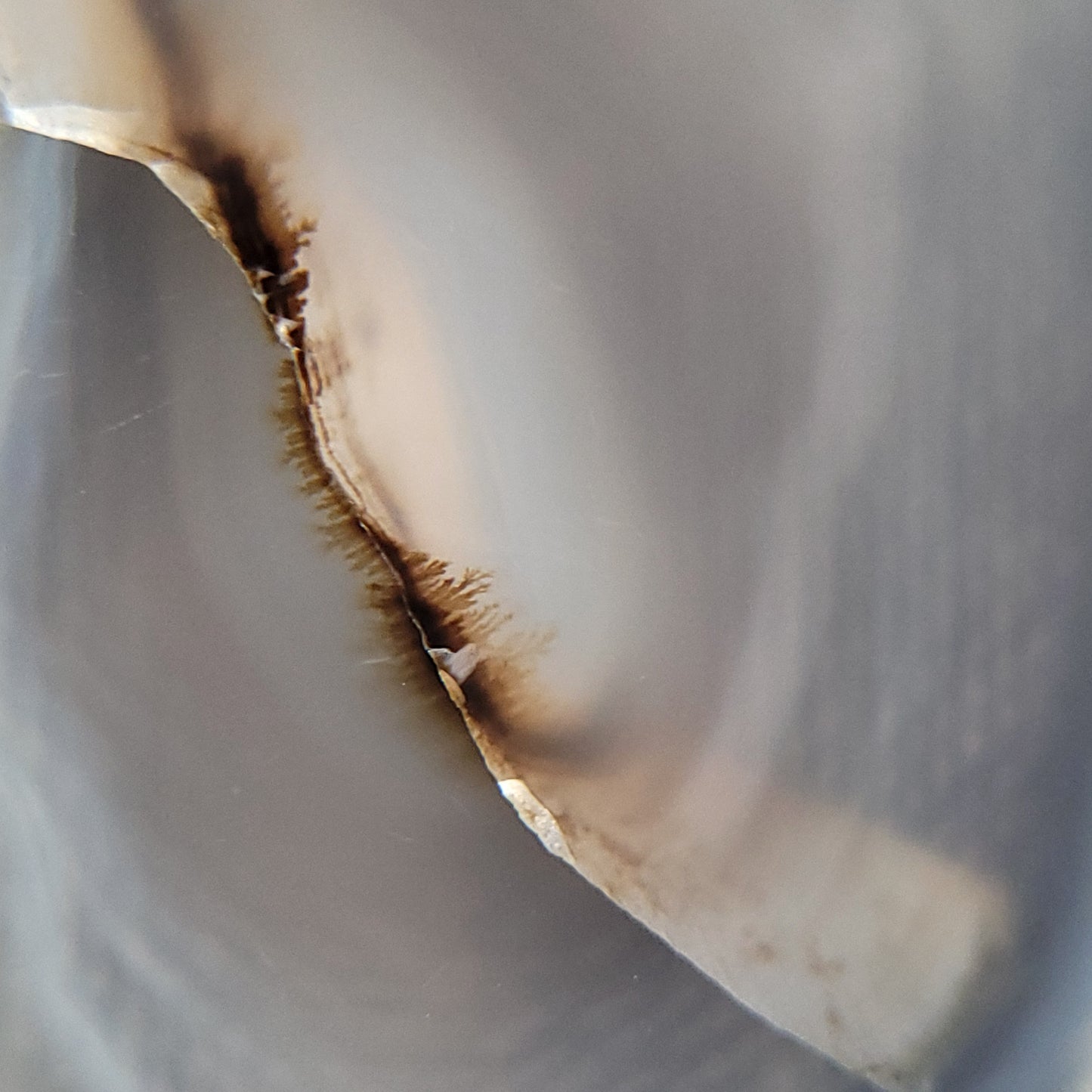 Dendritic Agate Slab, Fraser Lake, BC