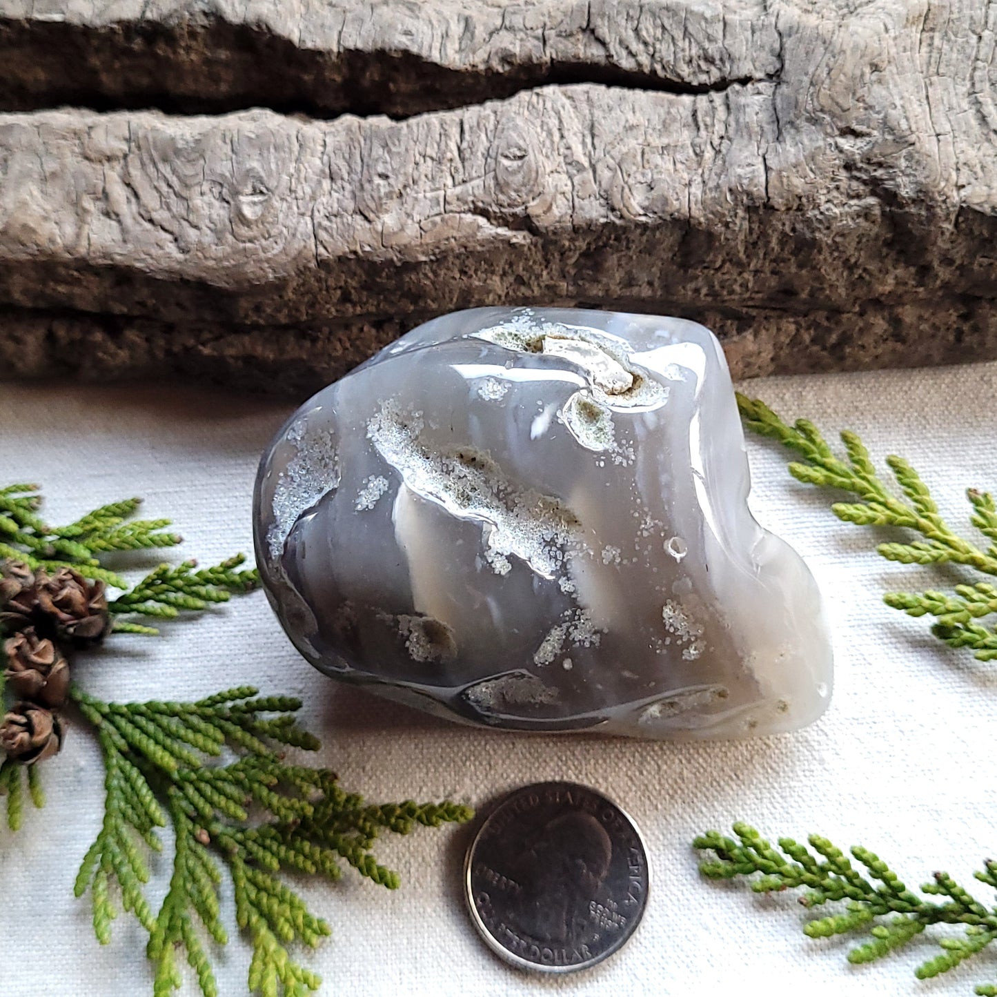 Tumbled Waterline Agate, Fraser Lake, BC, Canada