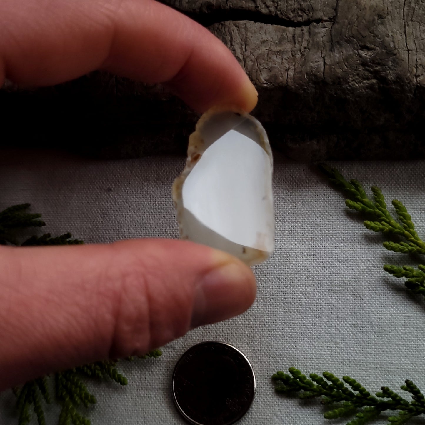 Polished Agate Slab, Fraser Lake, BC