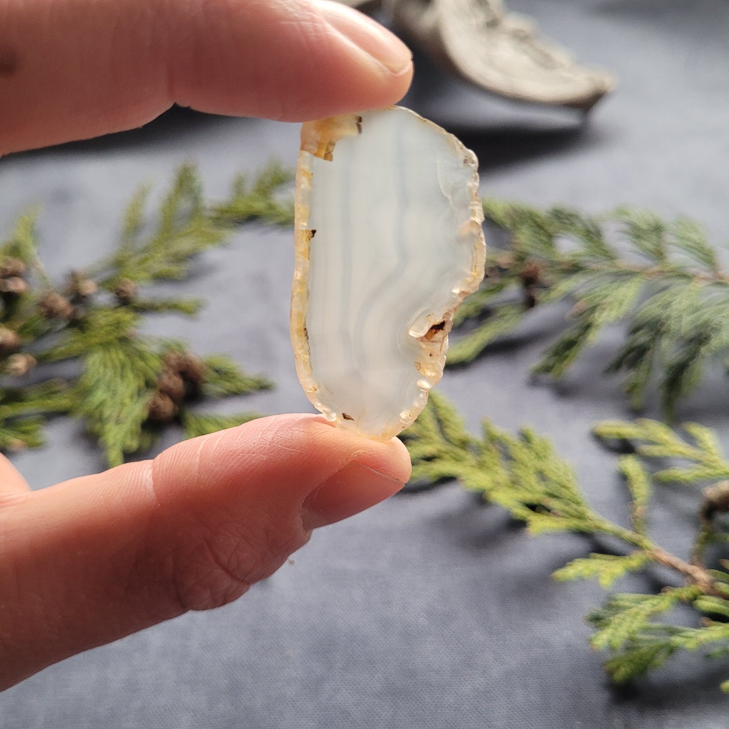 Polished Agate Slab, Fraser Lake, BC