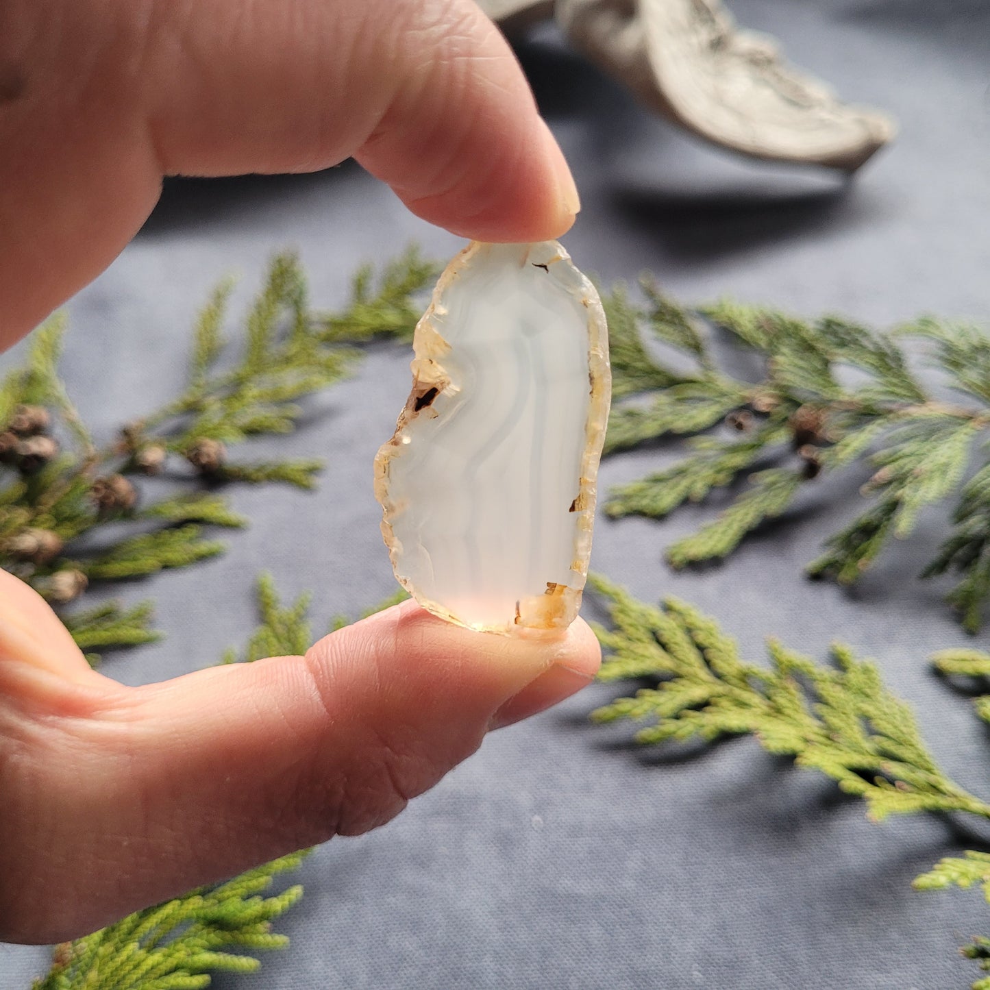 Polished Agate Slab, Fraser Lake, BC