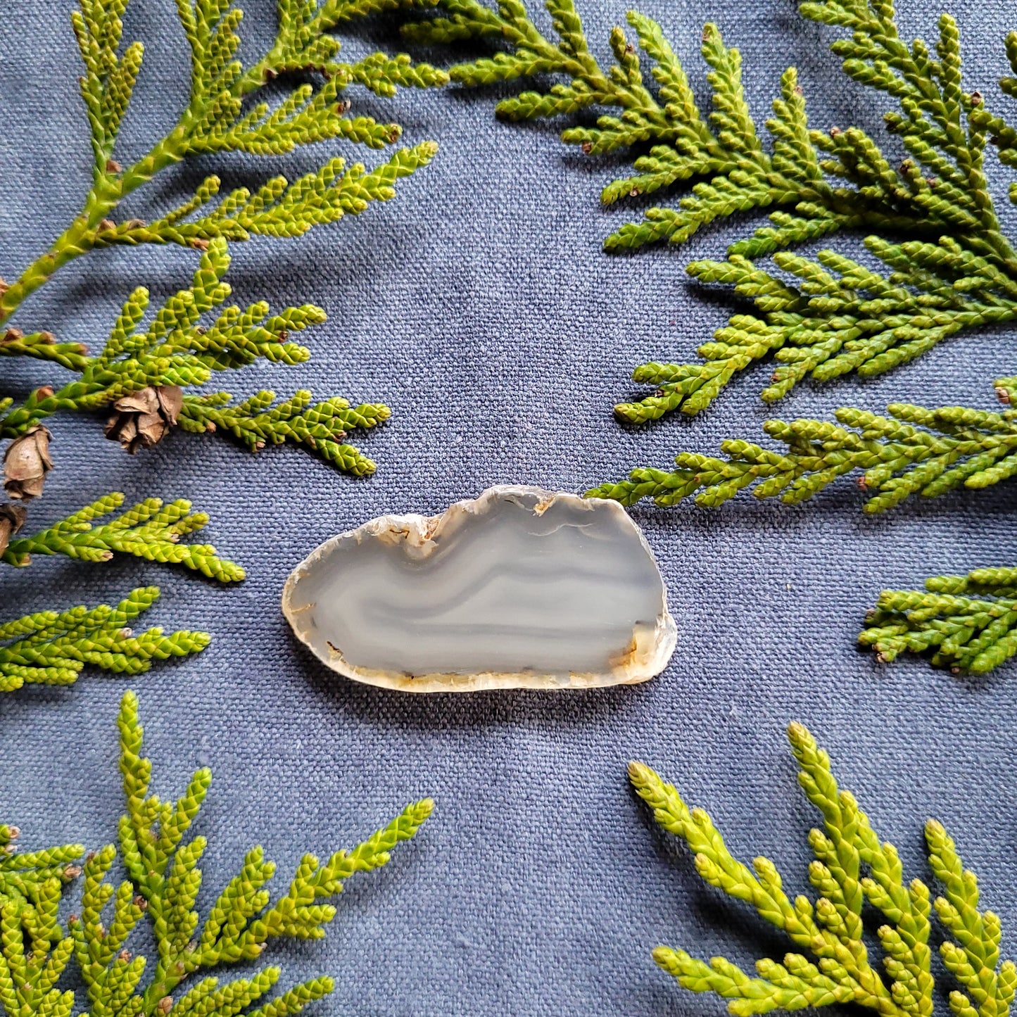 Polished Agate Slab, Fraser Lake, BC