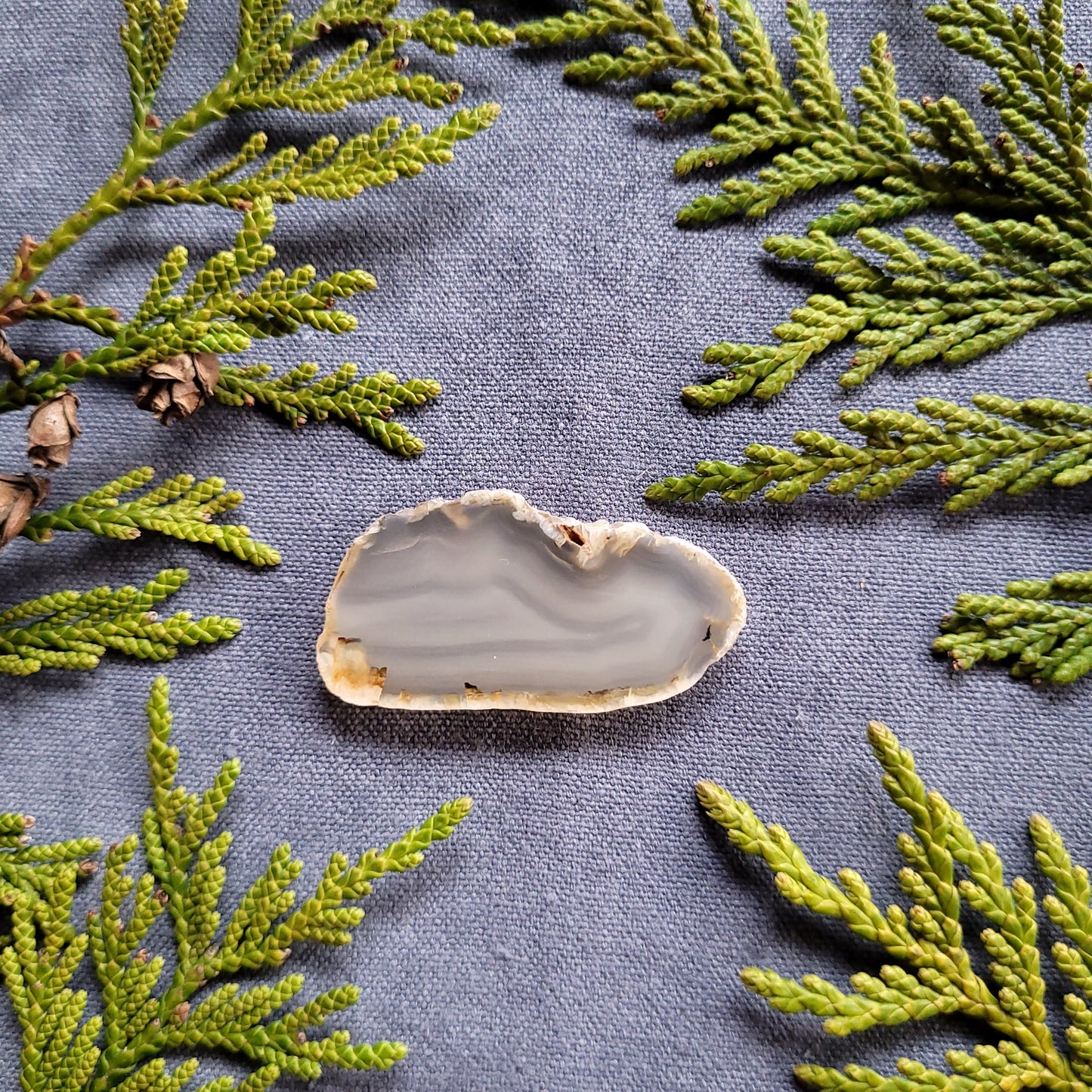 Polished Agate Slab, Fraser Lake, BC