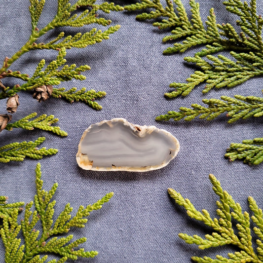 Polished Agate Slab, Fraser Lake, BC