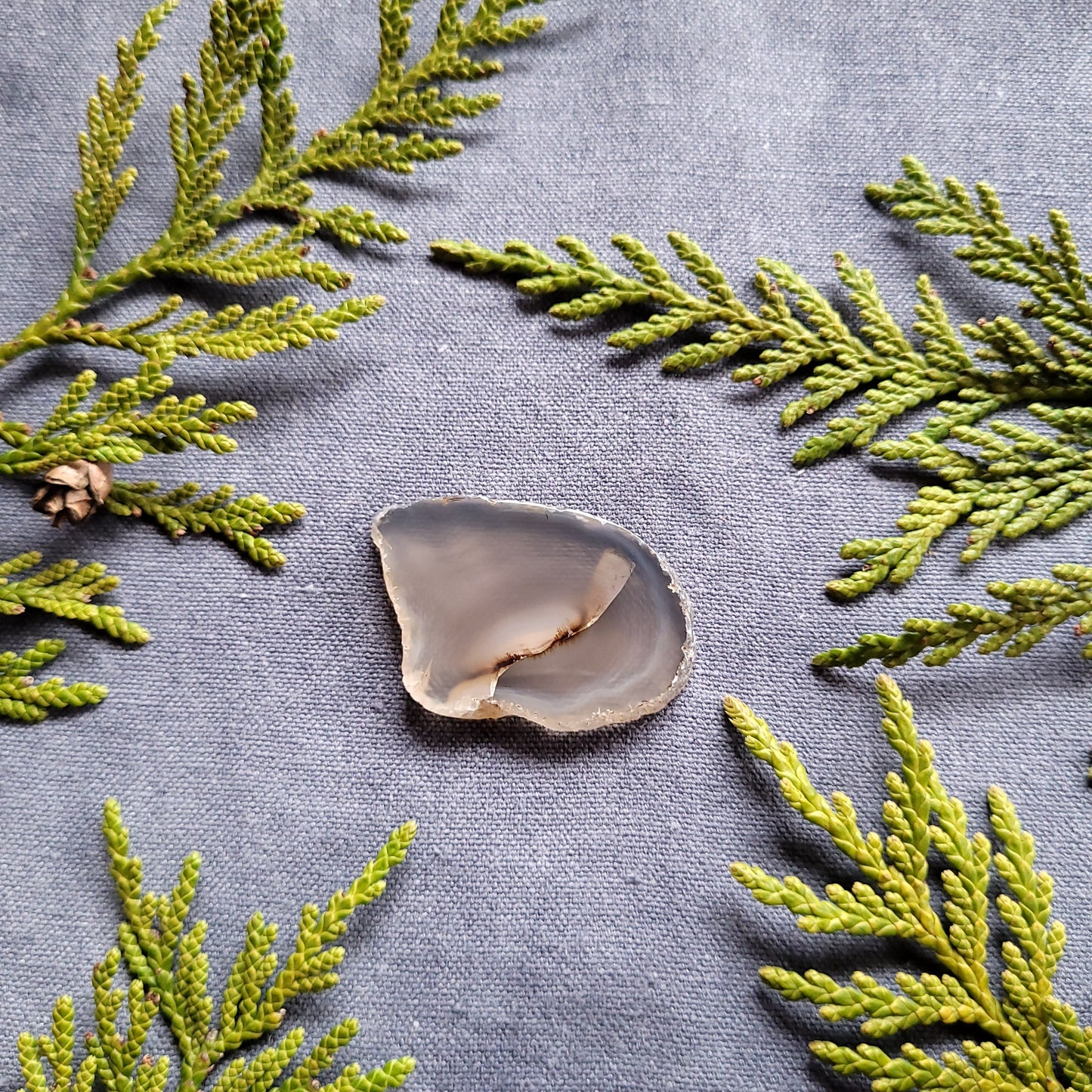Dendritic Agate Slab, Fraser Lake, BC