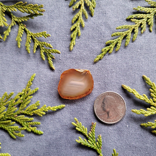 Carnelian Agate, Polished Slab, Haida Gwaii, BC
