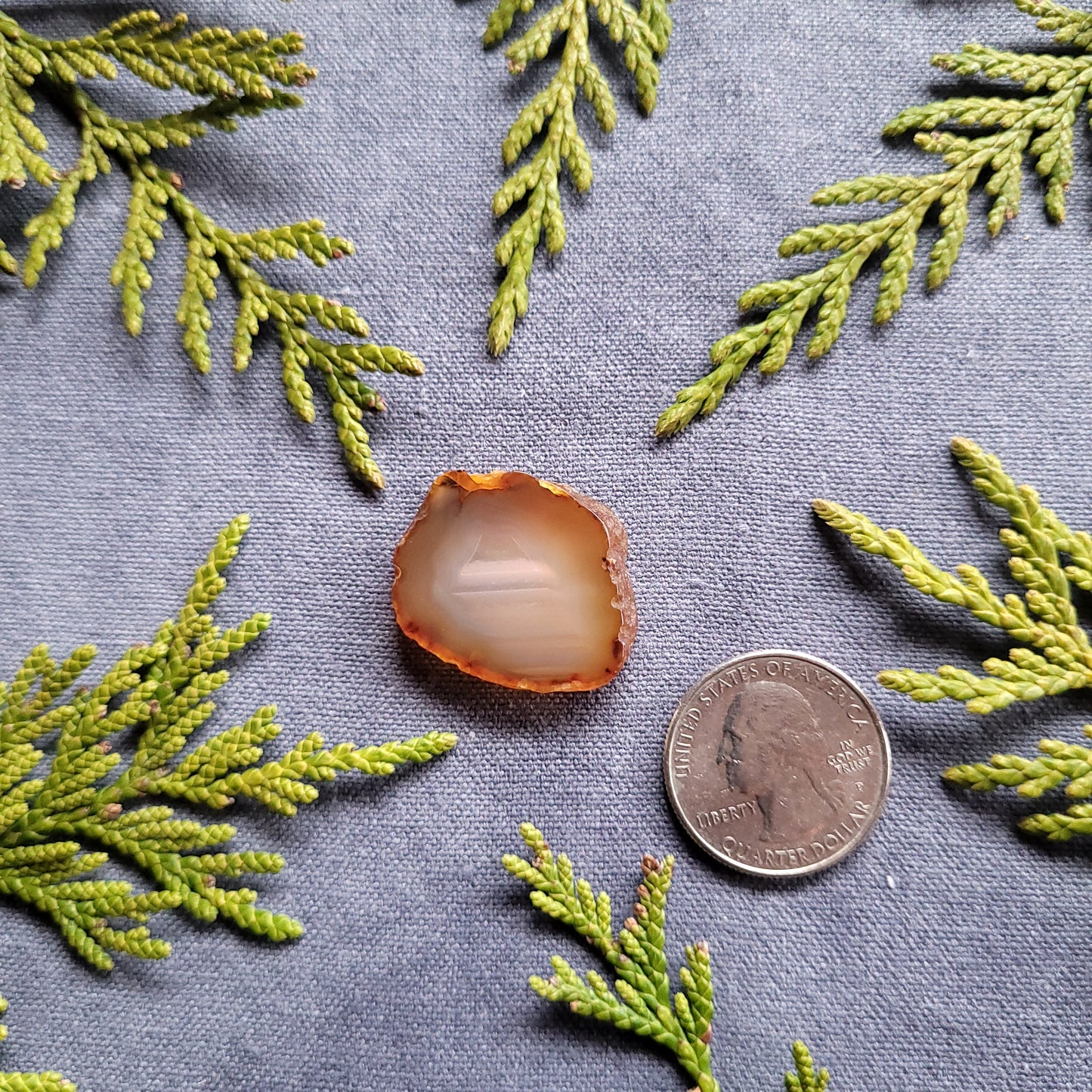 Carnelian Agate, Polished Slab, Haida Gwaii, BC