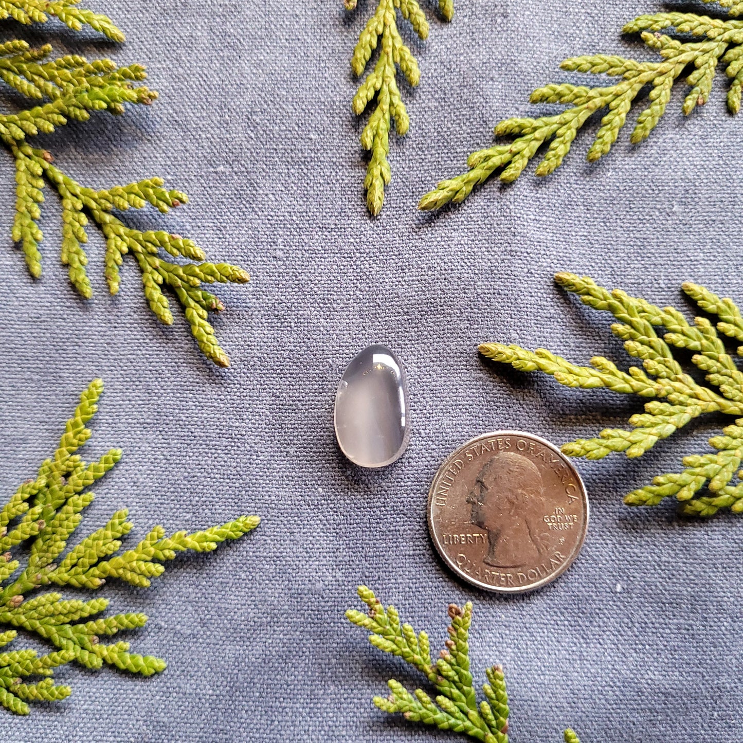 Clear Banded Agate Cabochon, Haida Gwaii, BC, Canada