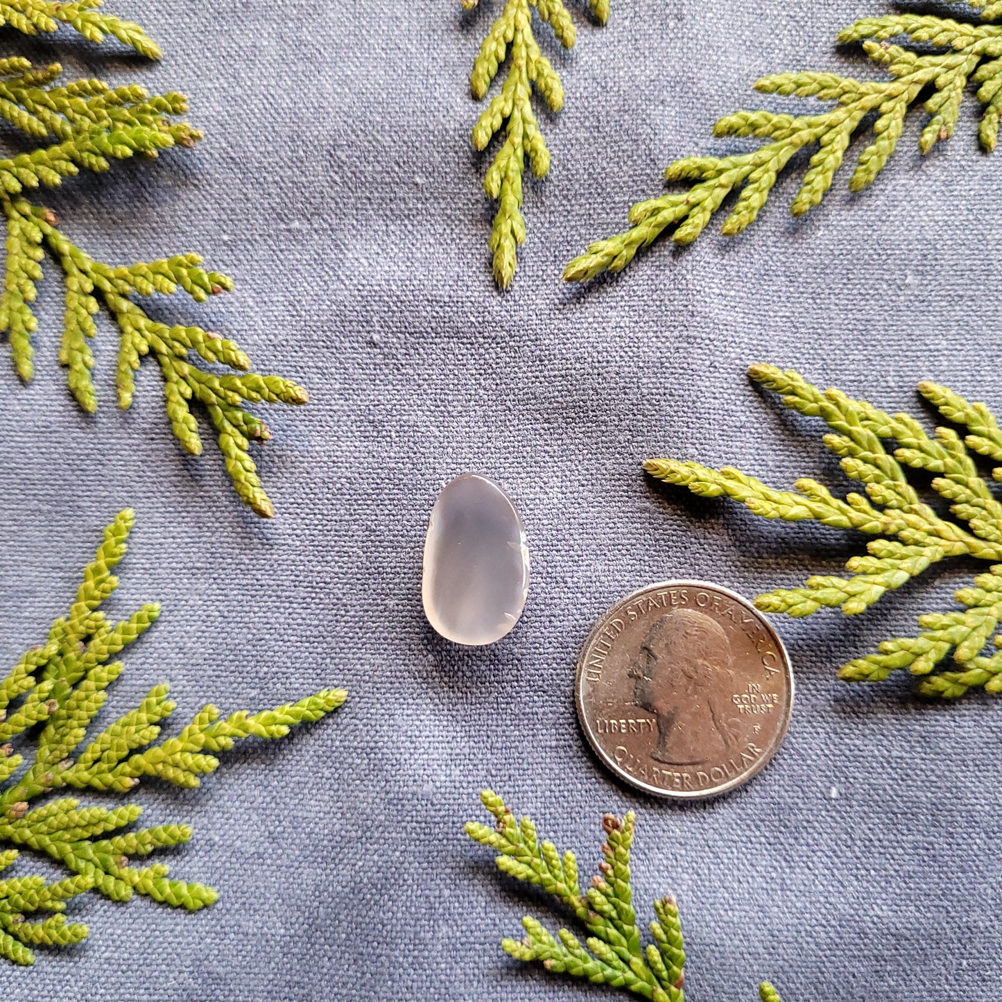 Clear Banded Agate Cabochon, Haida Gwaii, BC, Canada