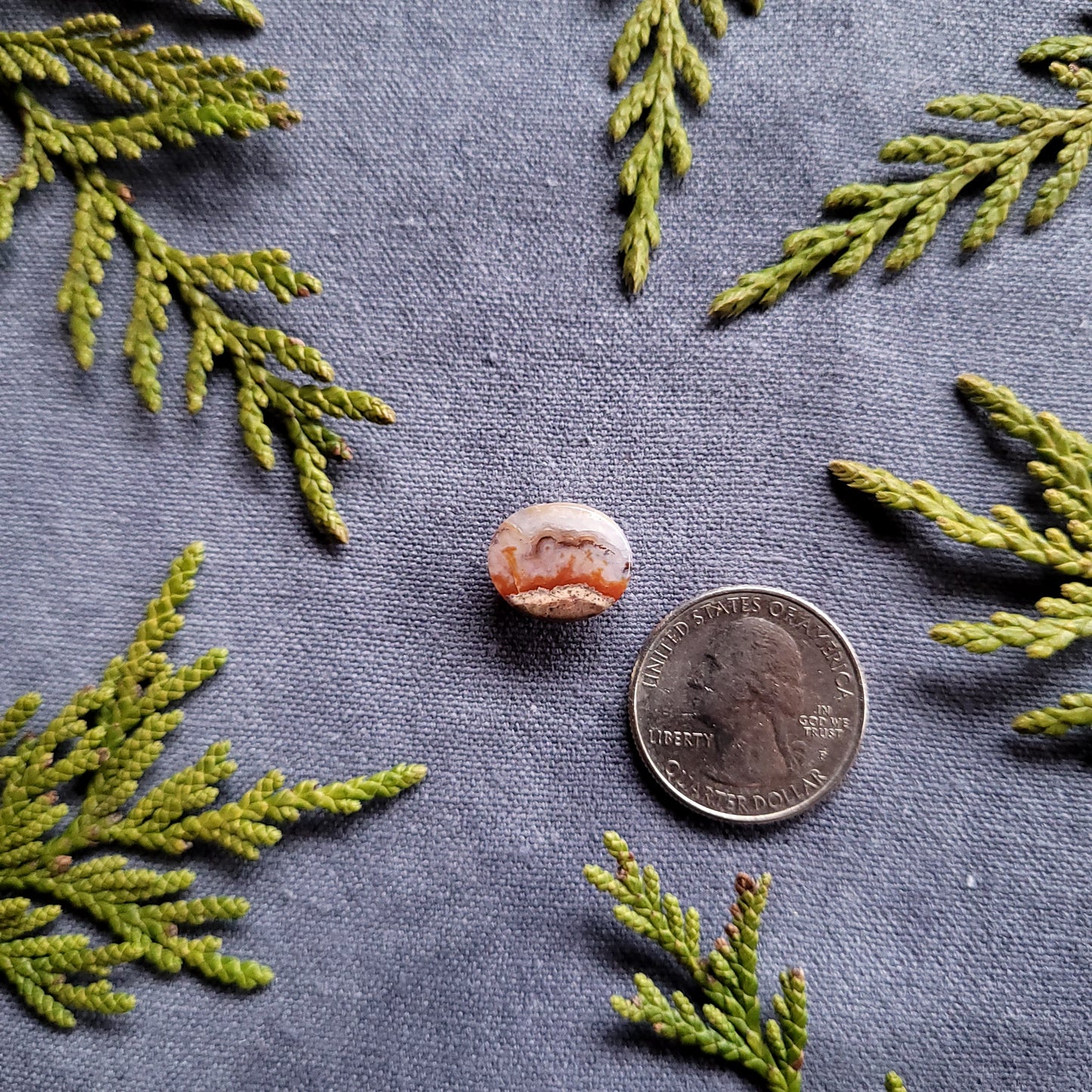 Red Seam Agate Cabochon, Northern BC, Canada