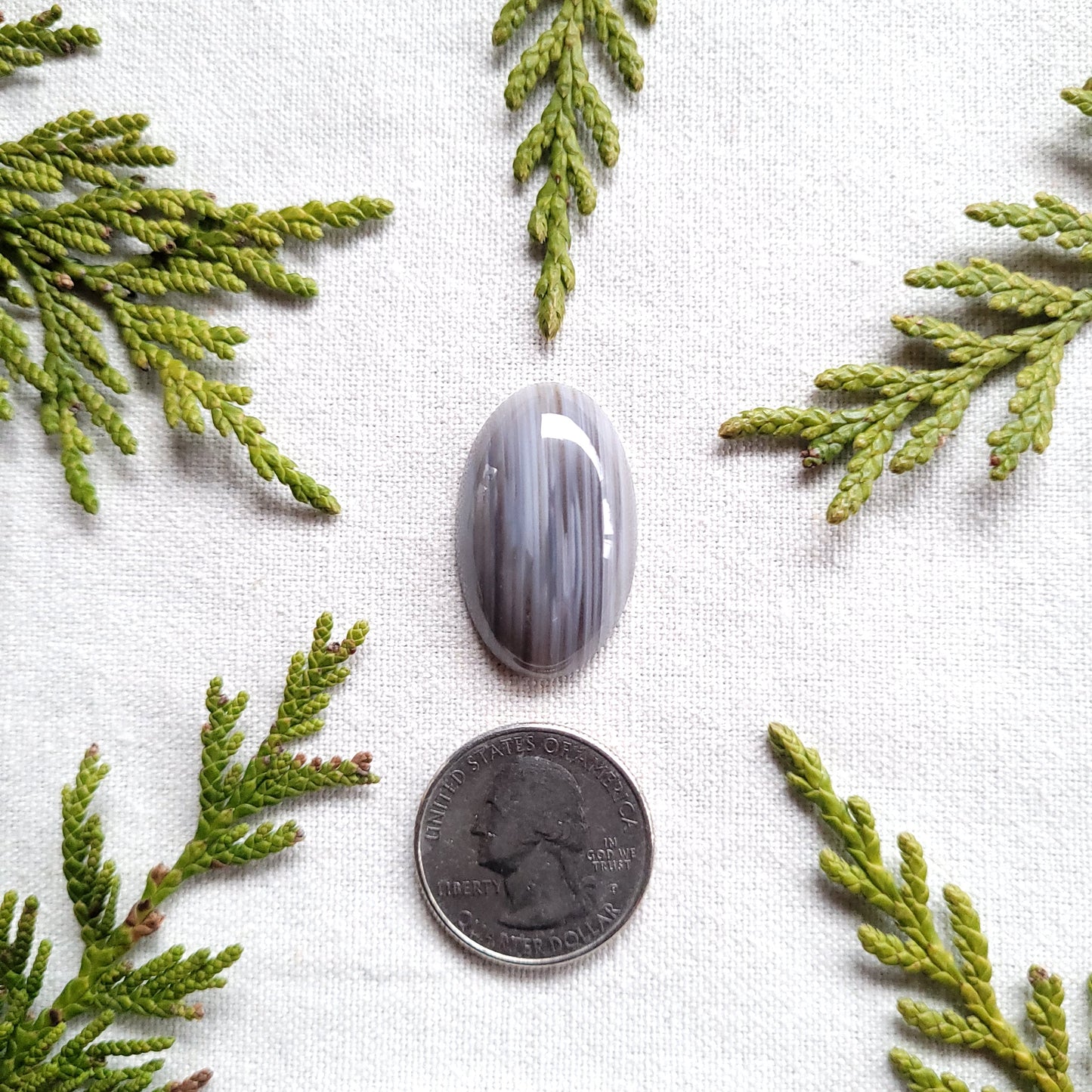 Waterline Agate Oval Cabochon, Fraser Lake, BC Canada