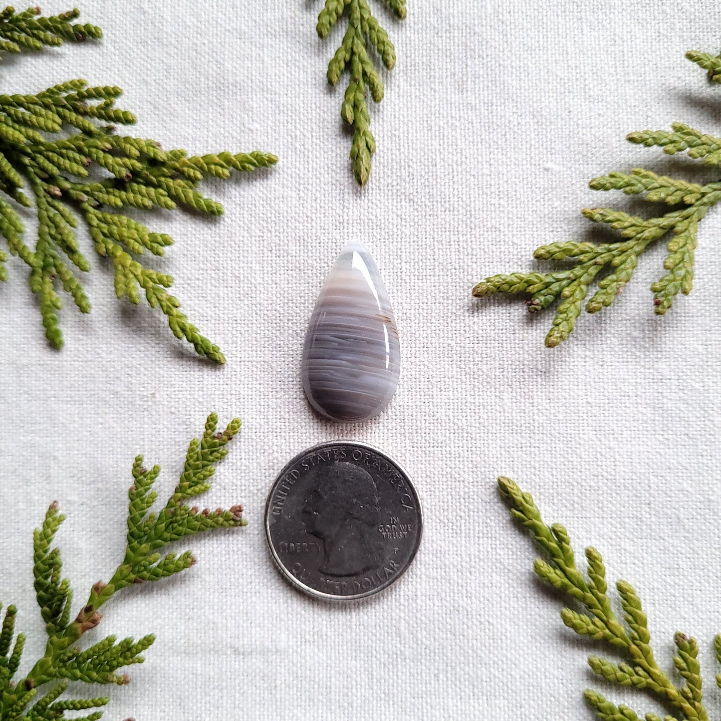 Waterline Agate Teardrop Cabochon, Fraser Lake, BC, Canada