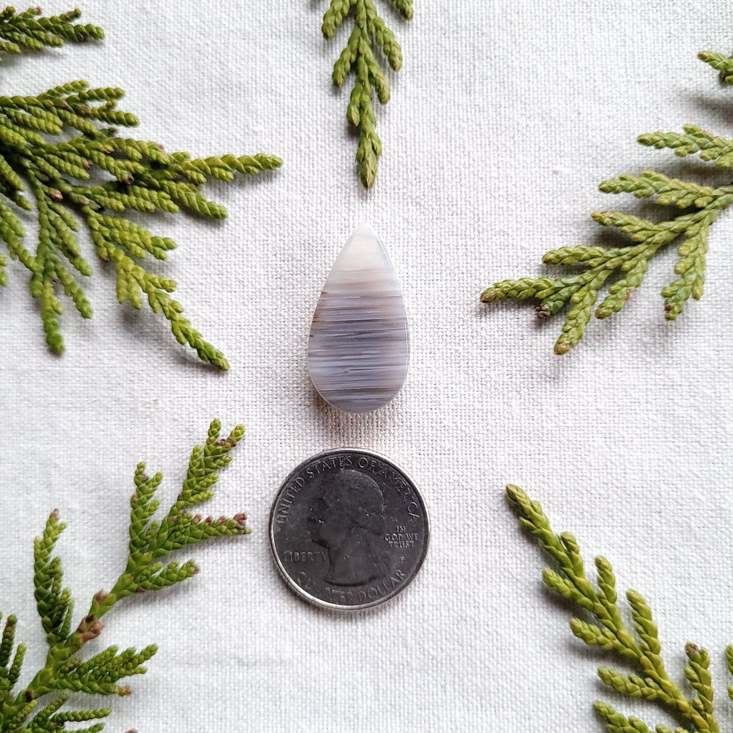 Waterline Agate Teardrop Cabochon, Fraser Lake, BC, Canada