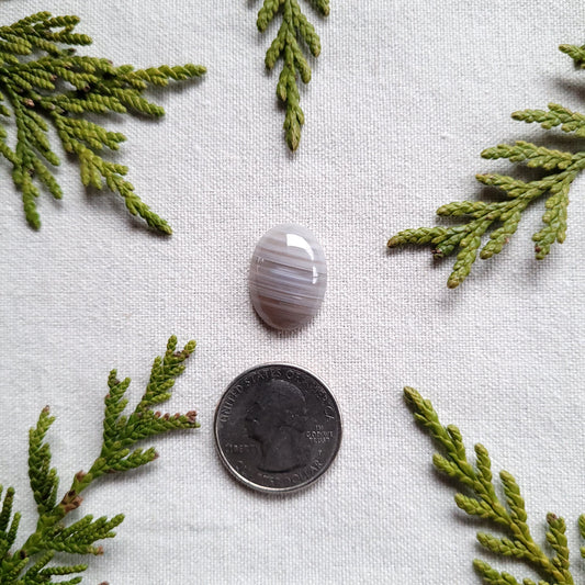 Waterline Agate Small Oval Cabochon, Fraser Lake, BC, Canada