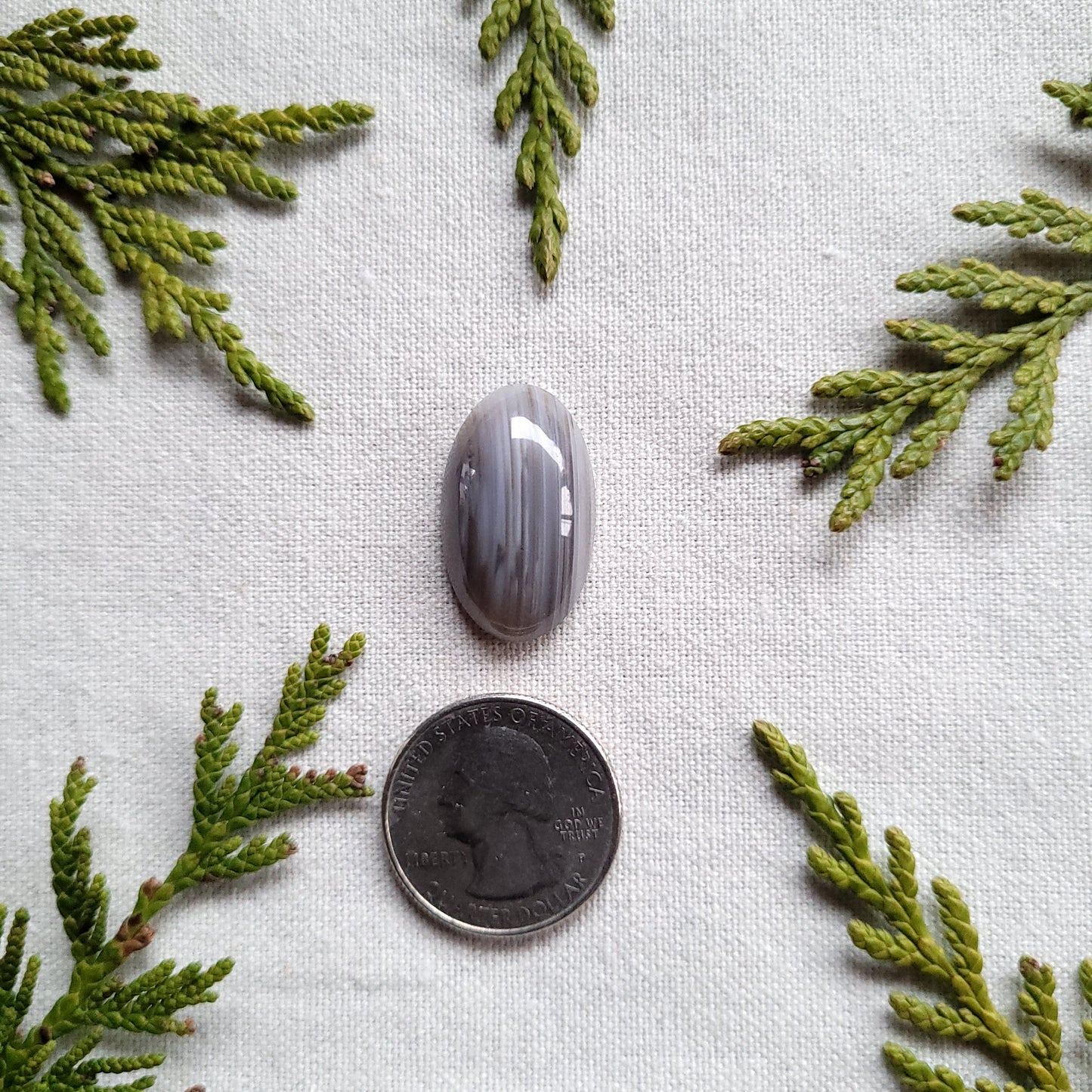 Waterline Agate Oval Cabochon, Fraser Lake, BC, Canada