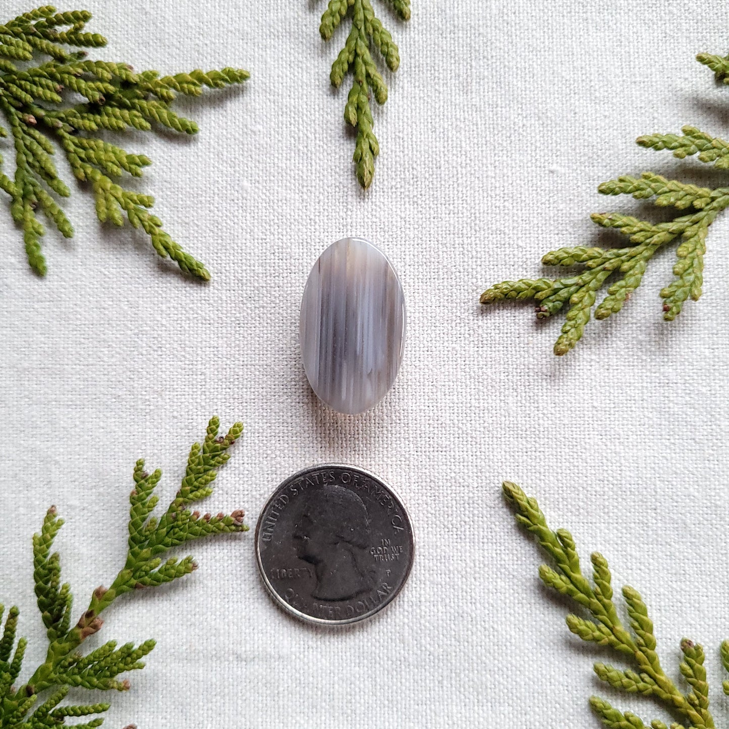 Waterline Agate Oval Cabochon, Fraser Lake, BC, Canada