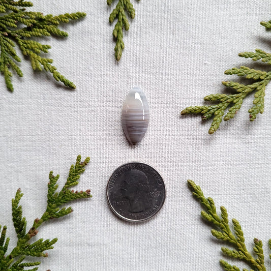 Waterline Agate Marquise Cabochon, Fraser Lake, BC, Canada