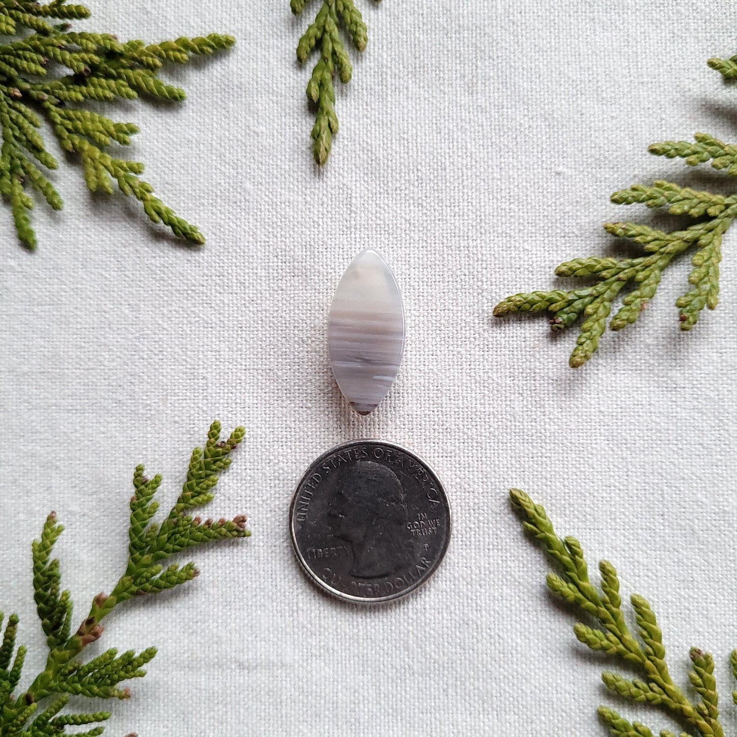 Waterline Agate Marquise Cabochon, Fraser Lake, BC, Canada