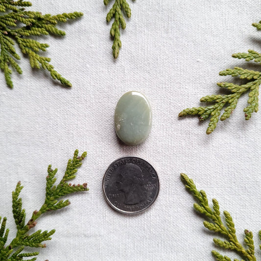 Green Agate Oval Cabochon, Francois Lake, BC, Canada