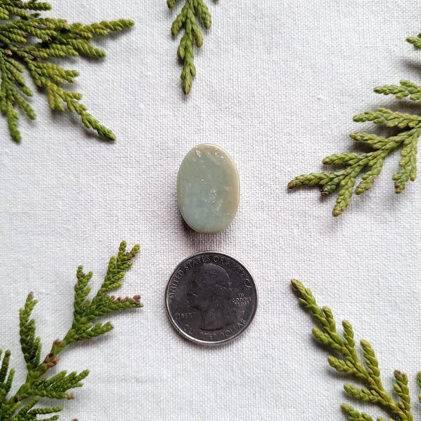 Green Agate Oval Cabochon, Francois Lake, BC, Canada