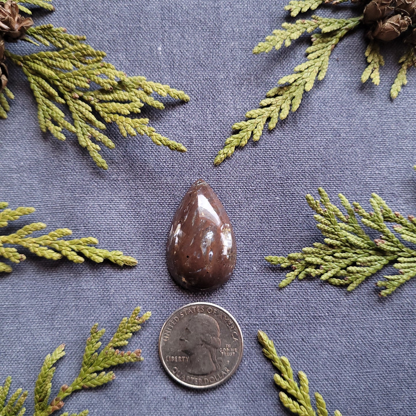 28.4ct Agate filled Rhyolite Cabochon, Ominica Mountains, BC