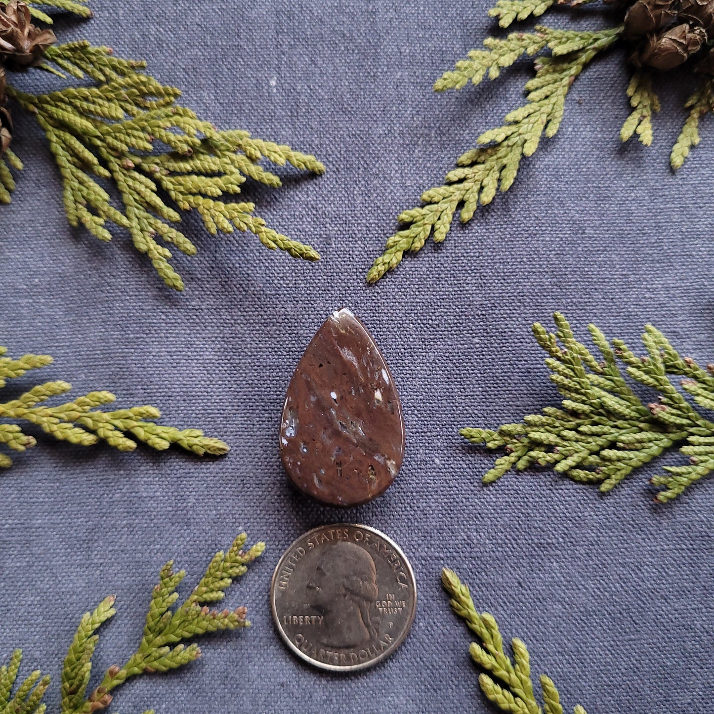 28.4ct Agate filled Rhyolite Cabochon, Ominica Mountains, BC
