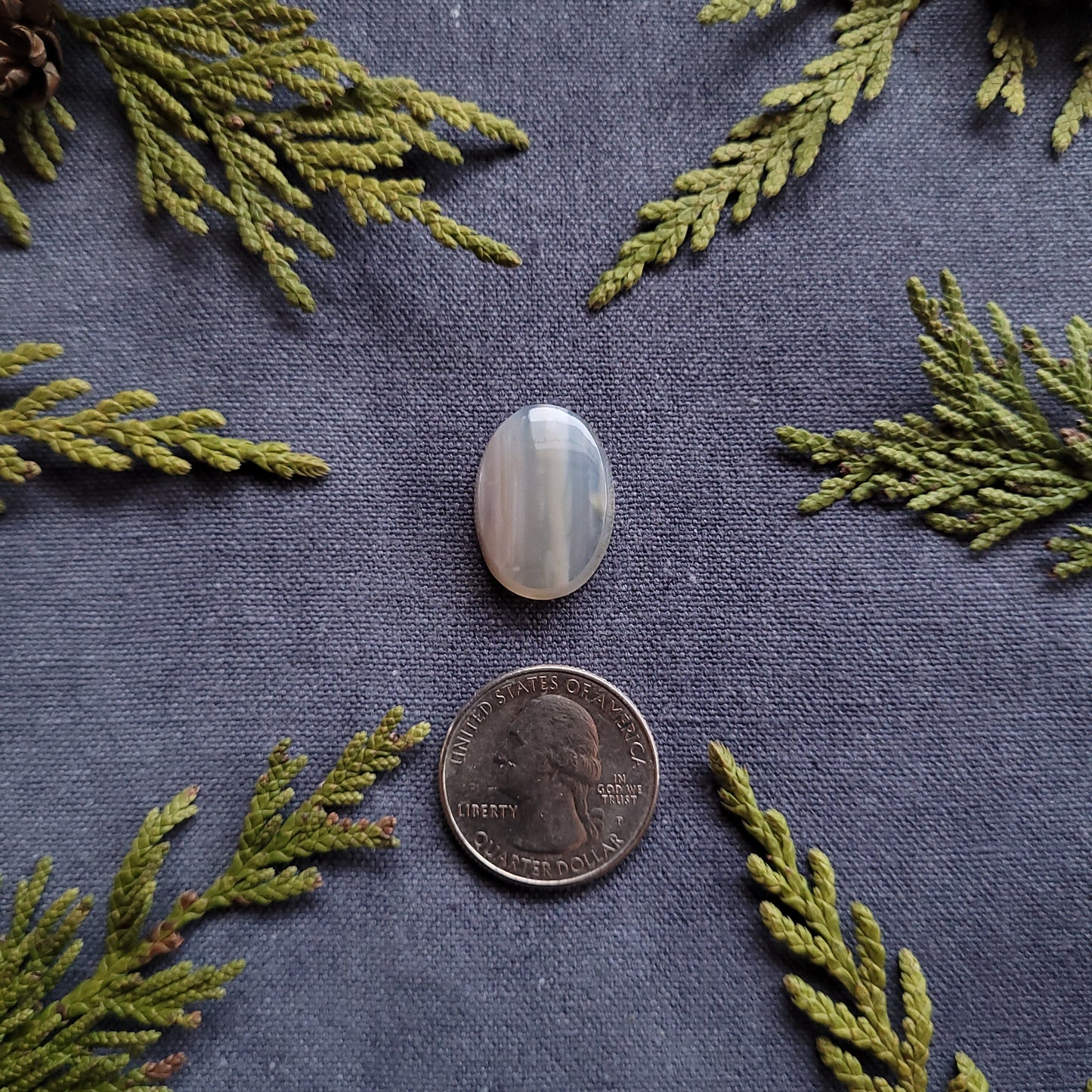 17.4ct Waterline Agate Oval Cabochon, Fraser Lake, BC
