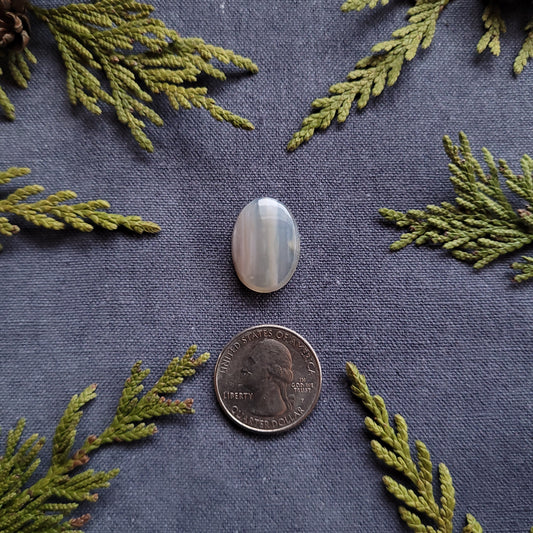 17.4ct Waterline Agate Oval Cabochon, Fraser Lake, BC