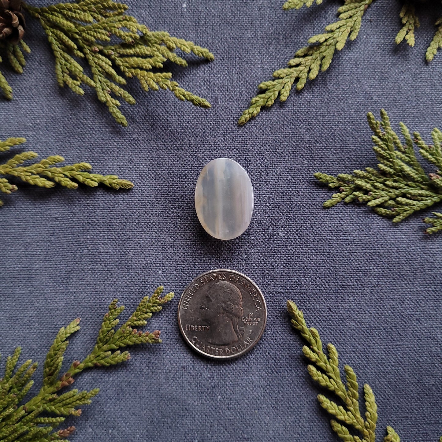 17.4ct Waterline Agate Oval Cabochon, Fraser Lake, BC