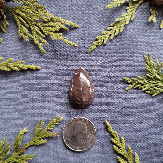 24.5ct Agate filled Rhyolite Cabochon, Ominica Mountains, BC