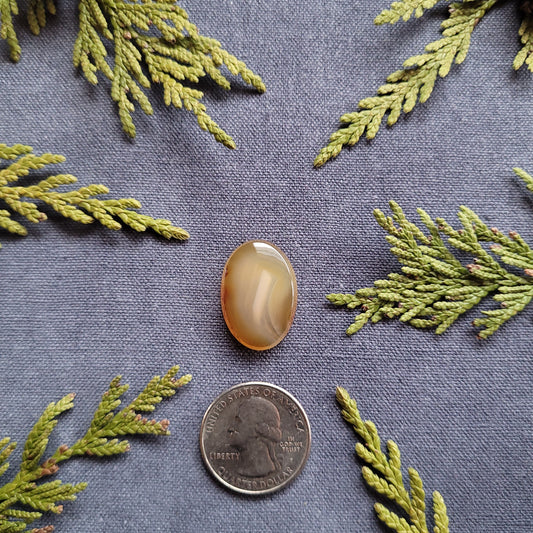 17.9ct Carnelian oval cabochon, Haida Gwaii, BC