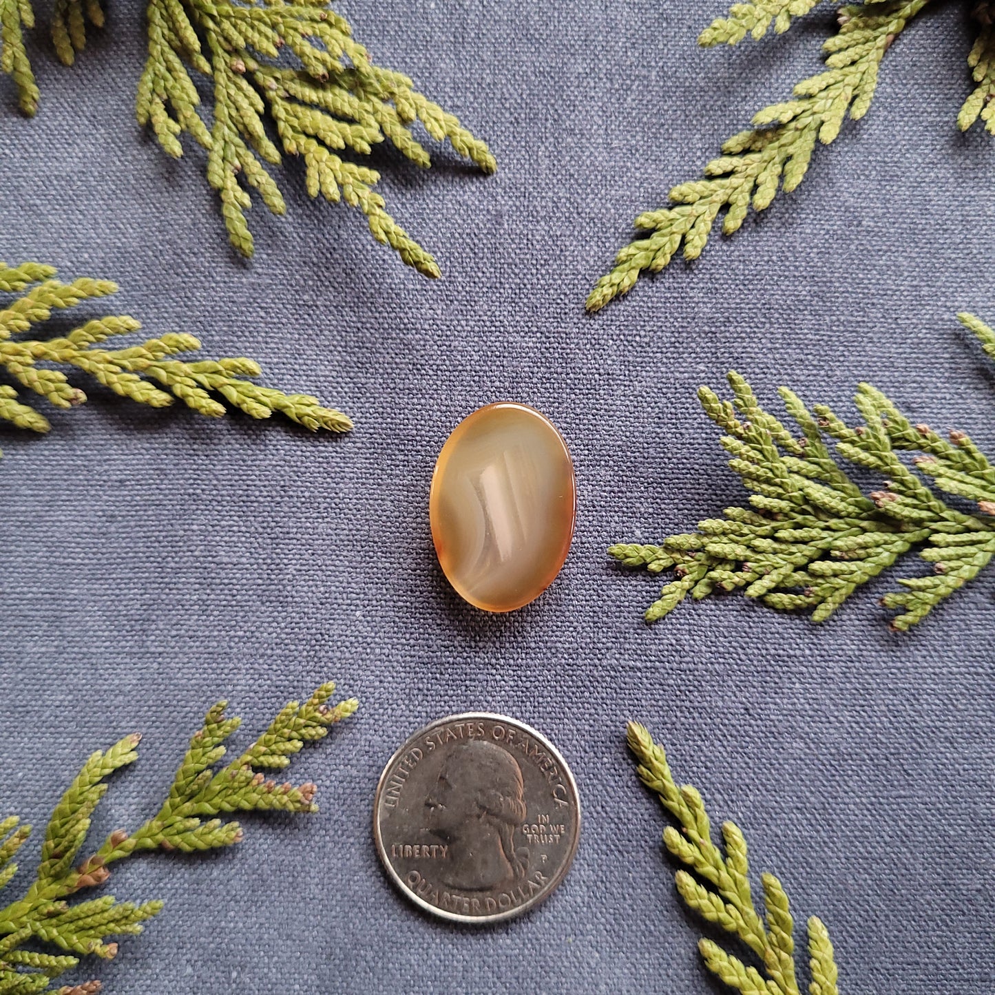 17.9ct Carnelian oval cabochon, Haida Gwaii, BC
