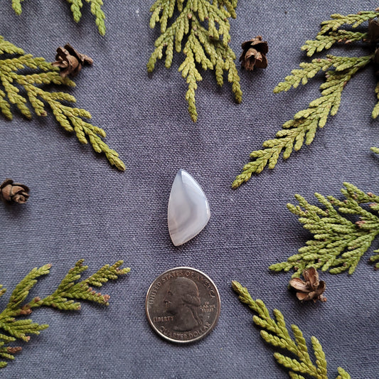 11.2ct Banded Agate Cabochon, Haida Gwaii, BC