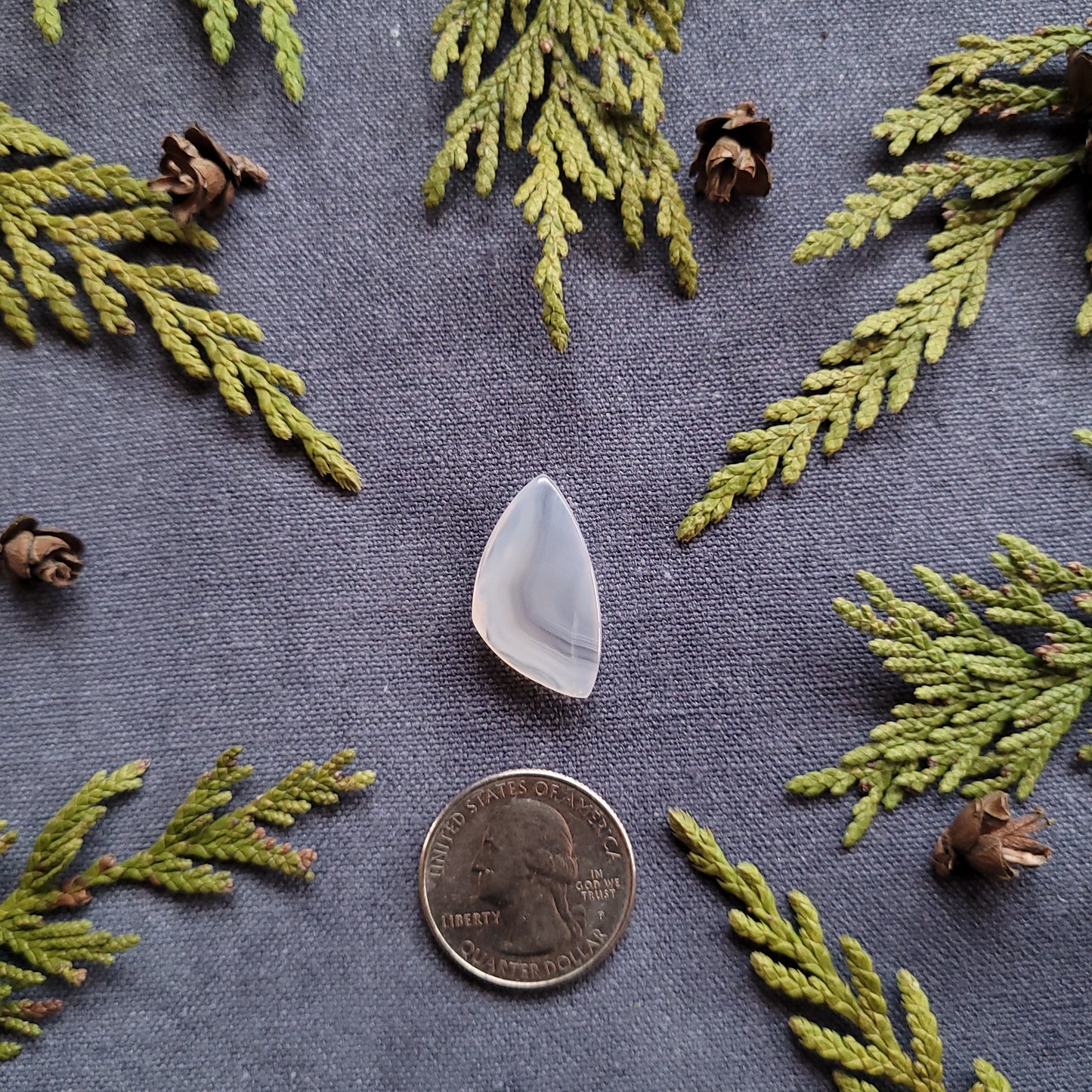 11.2ct Banded Agate Cabochon, Haida Gwaii, BC