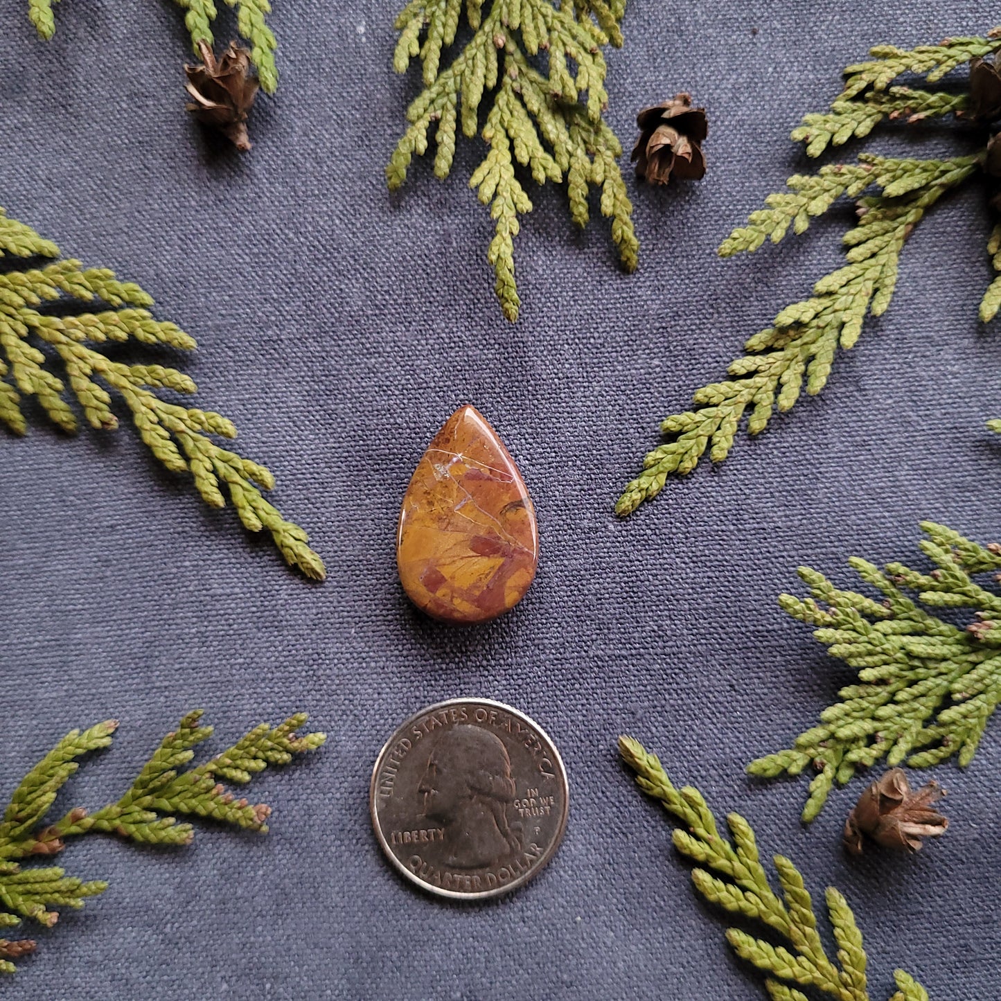 19.2ct Red and Yellow Jasper Cabochon, Fraser Lake, BC
