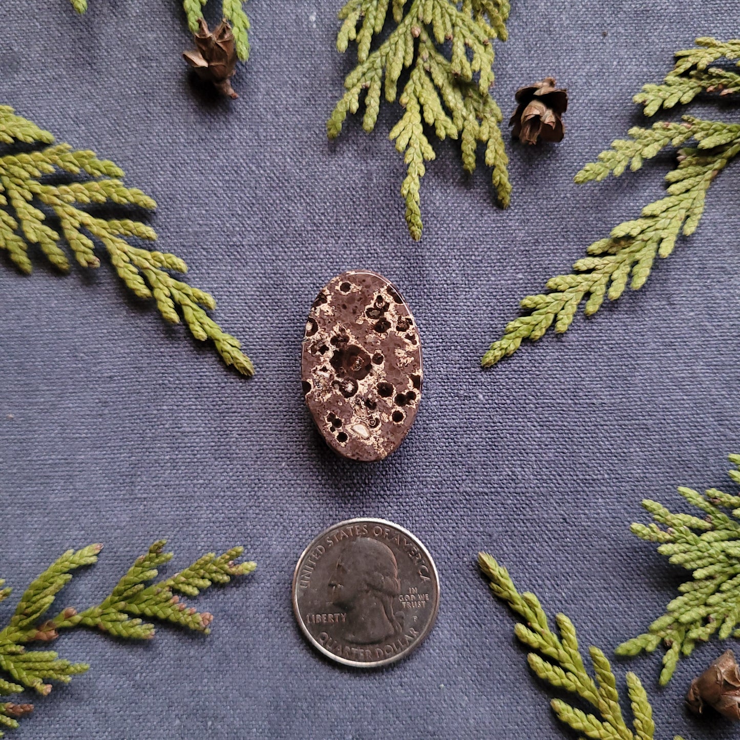 33.5ct Orbicular Rhyolite, Francois Lake, BC