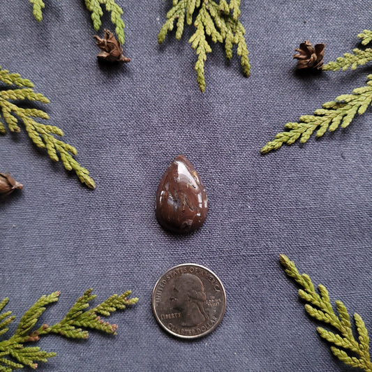 16.5ct Agate Filled Rhyolite Cabochon, Ominica Mountains, BC