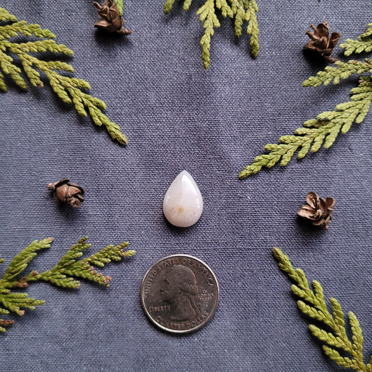 7.5ct Grey Chert Cabochon, Chilliwack, BC