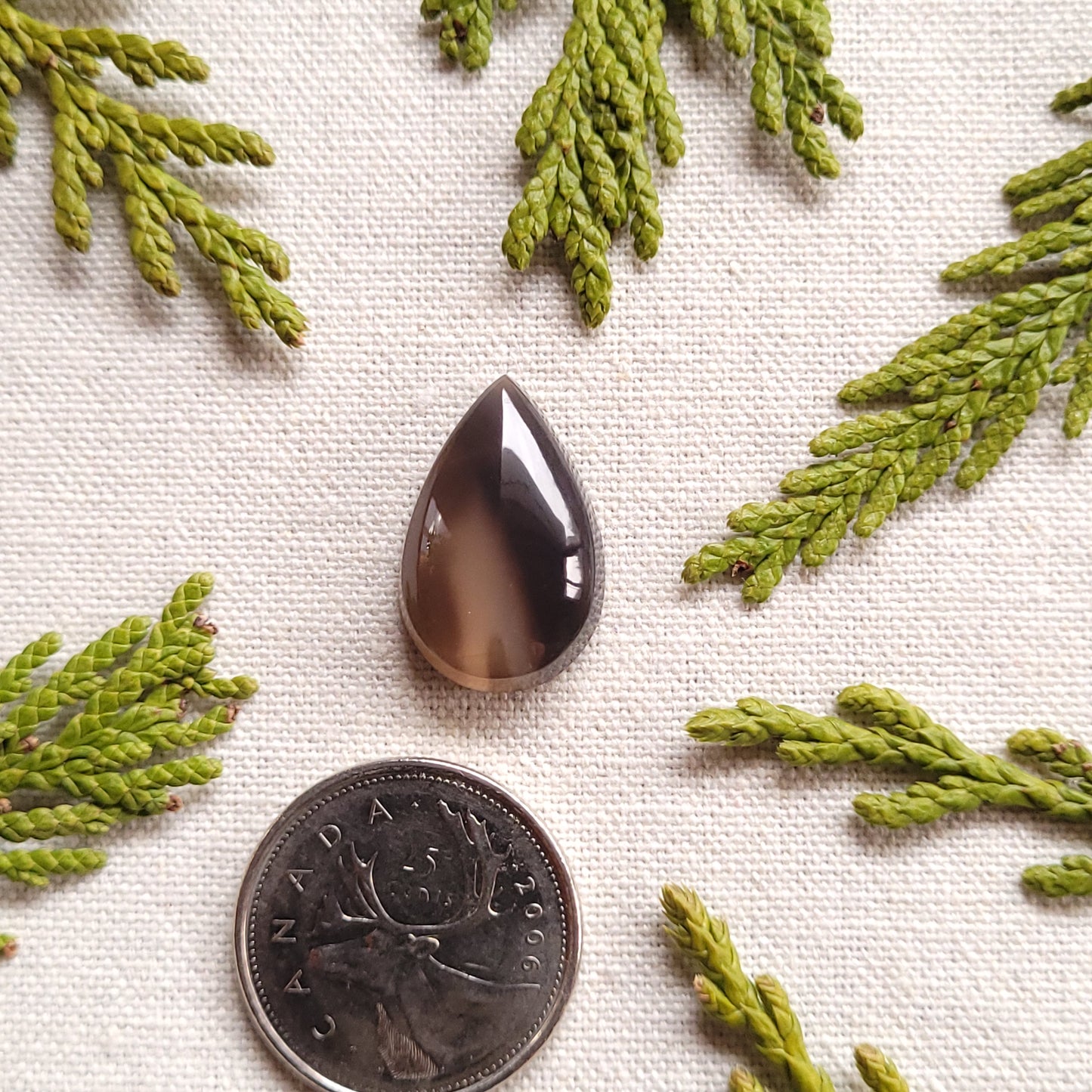 14ct Black Agate Cabochon, Boston Bar, BC