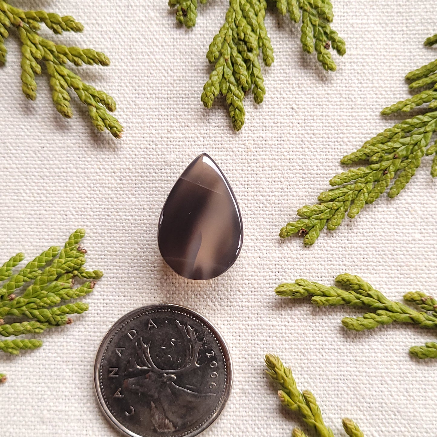 14ct Black Agate Cabochon, Boston Bar, BC