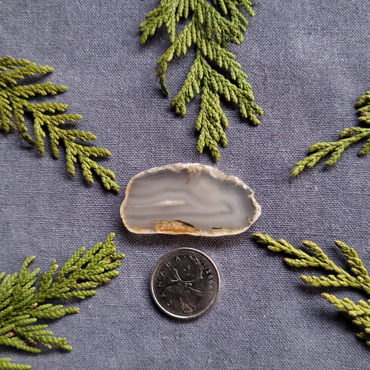 Polished Dendritic Agate Slab, Fraser Lake, BC, Canada 47.5ct