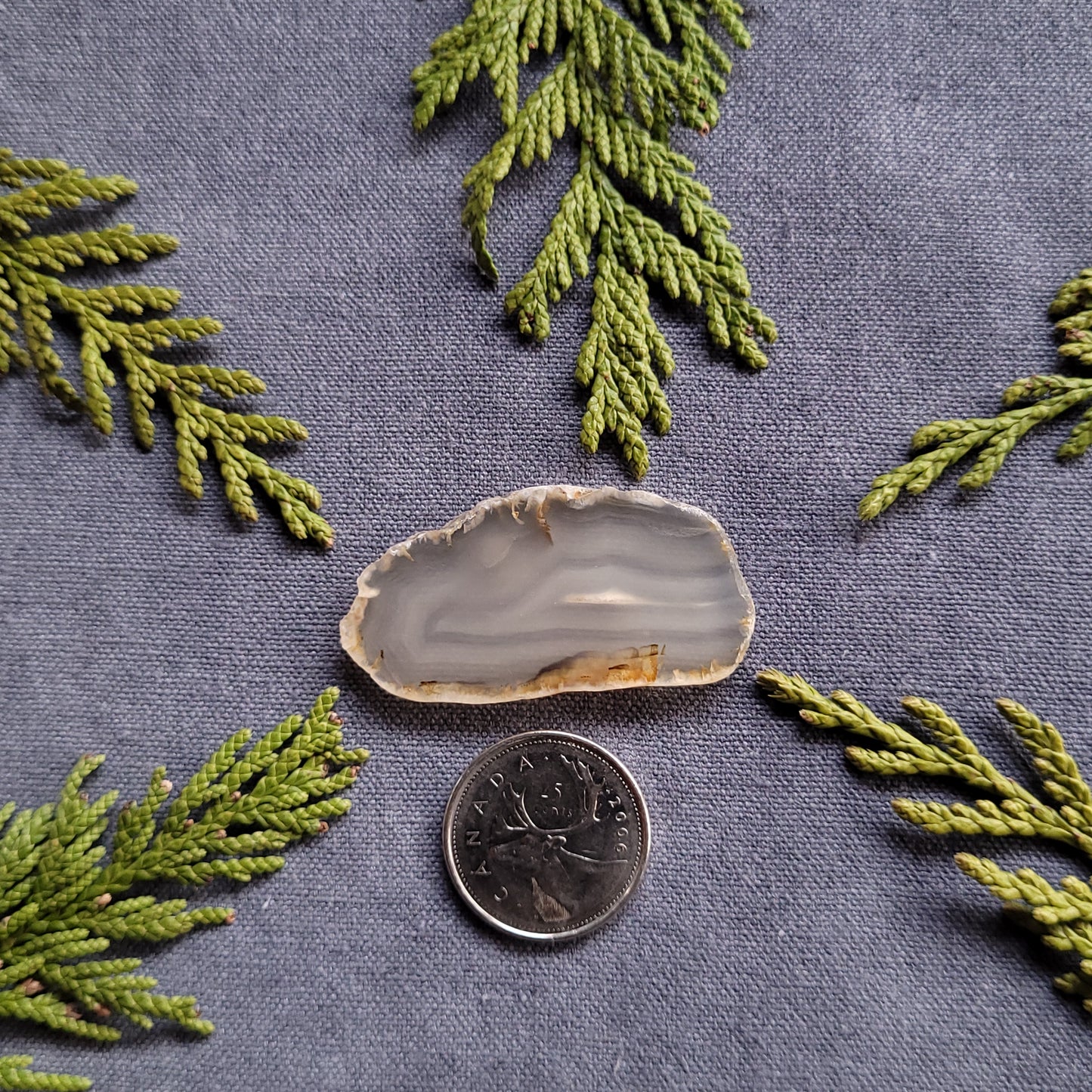 Polished Dendritic Agate Slab, Fraser Lake, BC, Canada 47.5ct