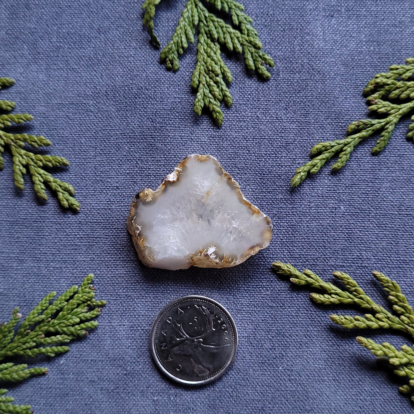 Polished Agate Slab, Haida Gwaii, BC, Canada 73.7ct