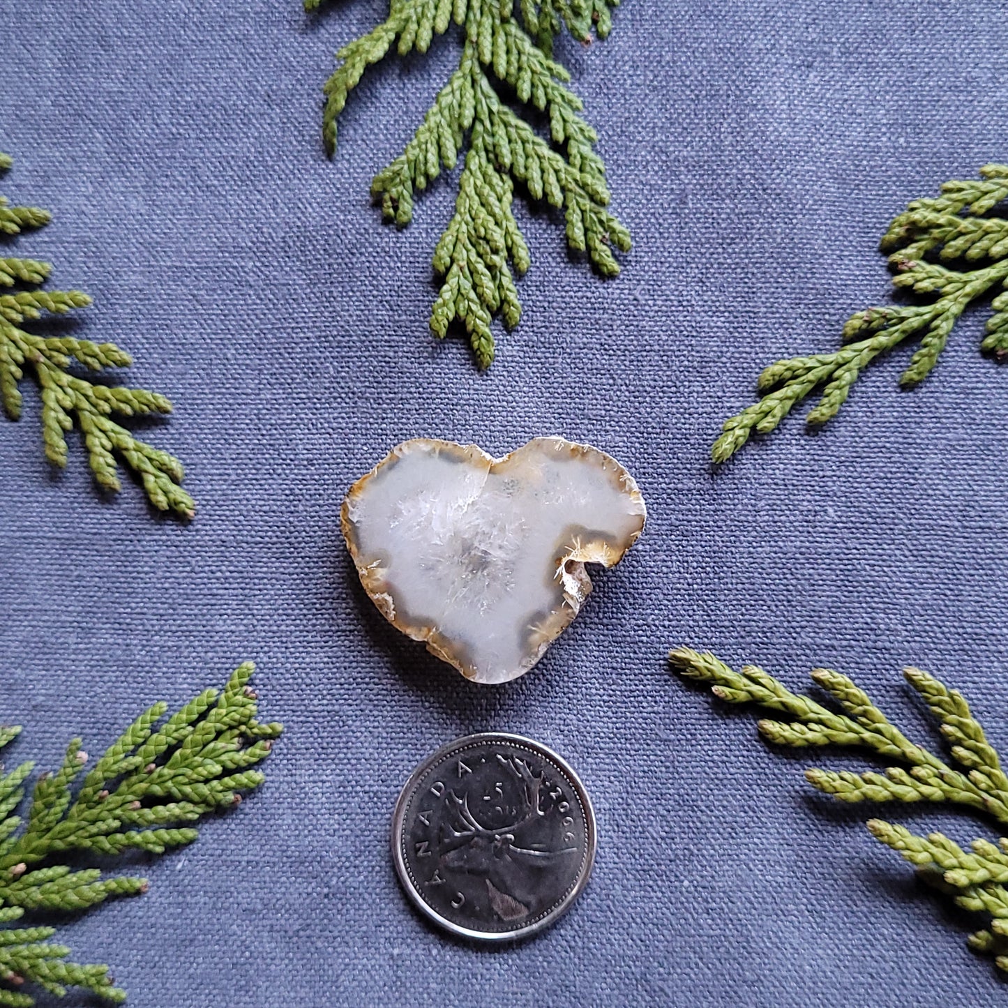 Polished Agate Slab, Haida Gwaii, BC, Canada 50.5ct