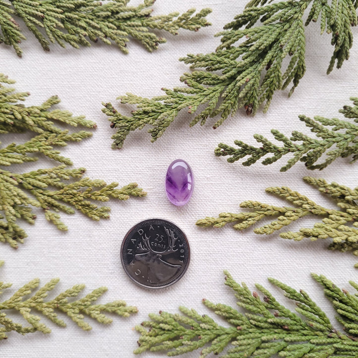 Thunder Bay Amethyst Cabochon, Ontario 6.7ct