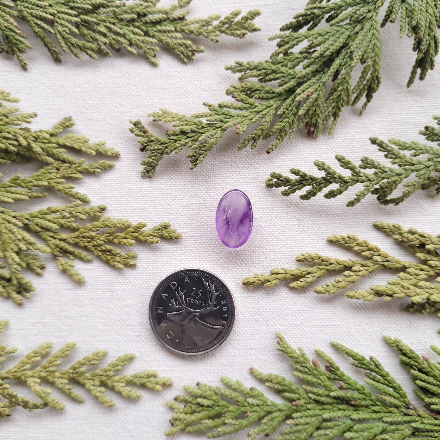 Thunder Bay Amethyst Cabochon, Ontario 6.7ct