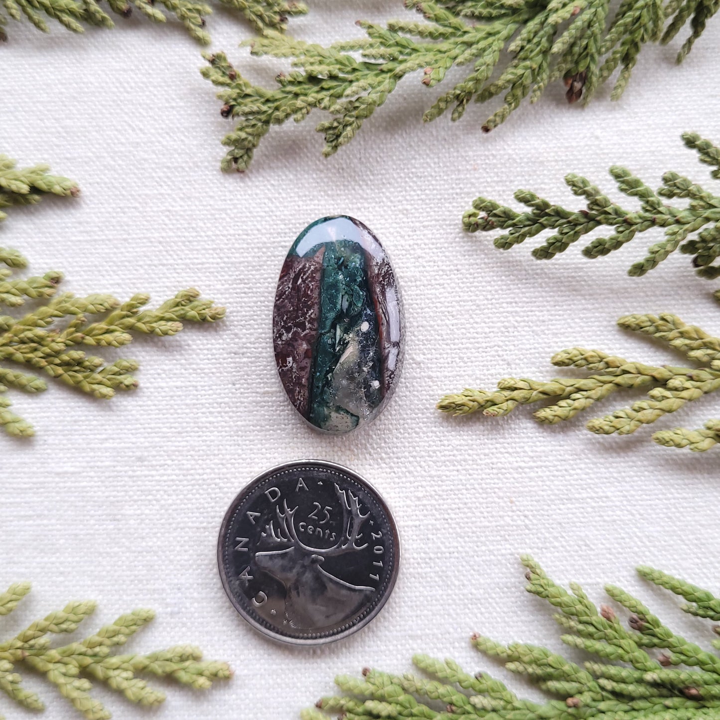 Agatized Rhyolite Cabochon, Francois lake area, BC, Canada 25.4ct