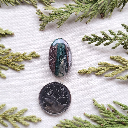 Agatized Rhyolite Cabochon, Francois lake area, BC, Canada 25.4ct