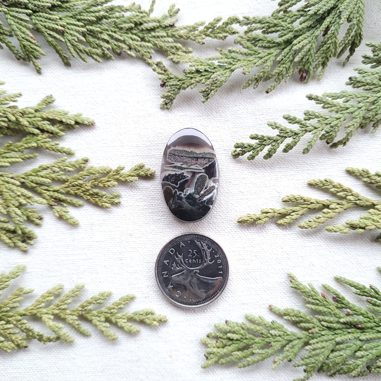 Black Scene Agate, Boston Bar, BC. Canada 32ct